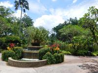 Orchid Garden Singapur