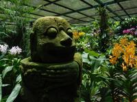 im Orchideengarten Singapur