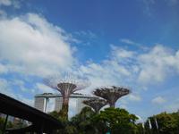 Gardens by the Bay und Marina Bay Sands Hotel