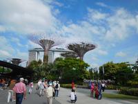 Gardens by the Bay Singapur