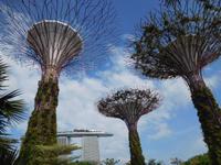 Supertrees und Marina Bay Sands Hotel