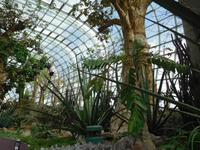 Gardens by the Bay Singapur