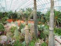 Gewächshaus Gardens by the Bay Singapur