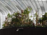 Pferdefigur im Gewächshaus - Gardens by the Bay