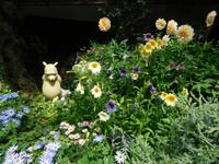 Gardens by the Bay Singapur