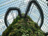 futuristische Konstruktion - Gardens by the Bay