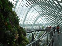 Gardens by the Bay Singapur