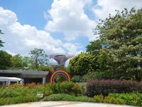 Gardens by the Bay Singapur