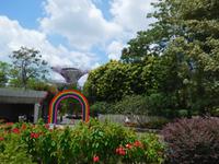 Gardens by the Bay Singapur