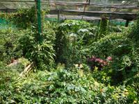 Schmetterlingspark in Kuala Lumpur