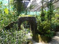 Schmetterlingspark in Kuala Lumpur