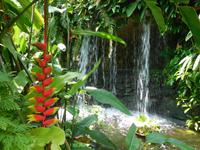 Schmetterlingspark in Kuala Lumpur