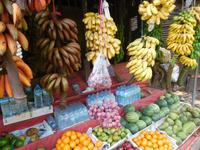 Bunte Bananen auf Sri Lanka