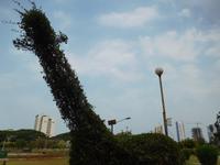 Hängende Gärten Mumbai