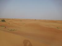 Wüste bei Dubai