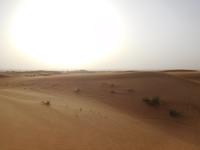 Wüste bei Dubai