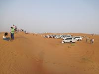 wir waren nicht allein - Wüstensafari Dubai