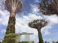 Gardens by the Bay und Marina Bay Sands Hotel