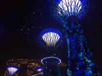 Gardens by the Bay Singapur