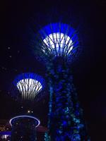 Gardens by the Bay Singapur