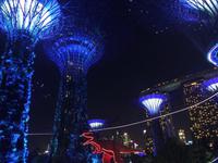 Gardens by the Bay Singapur