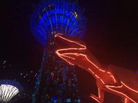 Gardens by the Bay Singapur