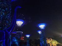 Gardens by the Bay Singapur