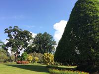 Botanischer Garten Sri Lanka