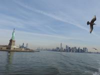 Mrs. Liberty New York