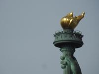 Mrs. Liberty New York