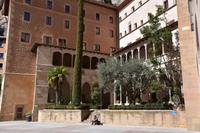 113 Kloster Montserat, die Bäume des Lebens