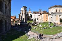 402 Rom, Tempel des Apollo, links Marcello Theater