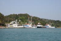 Bootsfahrt rund um Dixons Cove, Insel Roatan