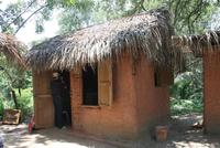 Die traditionellen Lehmhütten der Garifuna