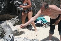 Am Karibikstrand von Tulum