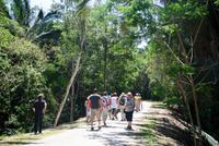 Besichtigung der Maya-Stätte Kohunlich