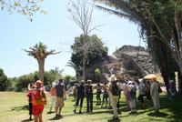 Besichtigung der Maya-Stätte Kohunlich