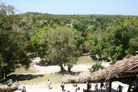 Blick vom Tempel auf den Urwald