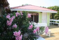 Dixons Cove auf Roatan, Honduras