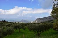 341 Insel Kreta