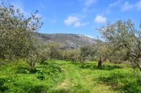 342 Insel Kreta