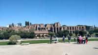 399 Rom, Blick über den Circus Maximus zu den Kaiserpalästen