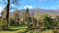 476 Locarno, Blick zum Cimetta