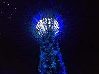 Gardens by the Bay Singapur