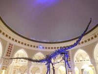 In der Dubai Mall