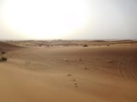 Wüstensafari Dubai