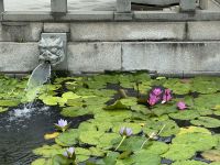 Hongkong - Chi Lin Nonnenkloster &ndash; &copy; Sabine Letzybyll (Eberhardt TRAVEL)