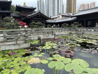 Hongkong - Chi Lin Nonnenkloster &ndash; &copy; Sabine Letzybyll (Eberhardt TRAVEL)