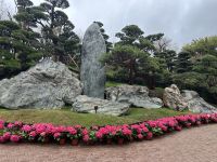 Hongkong - Chi Lin Nonnenkloster &ndash; &copy; Sabine Letzybyll (Eberhardt TRAVEL)