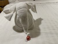 an Bord der MS Westerdam &ndash; &copy; Sabine Letzybyll (Eberhardt TRAVEL)